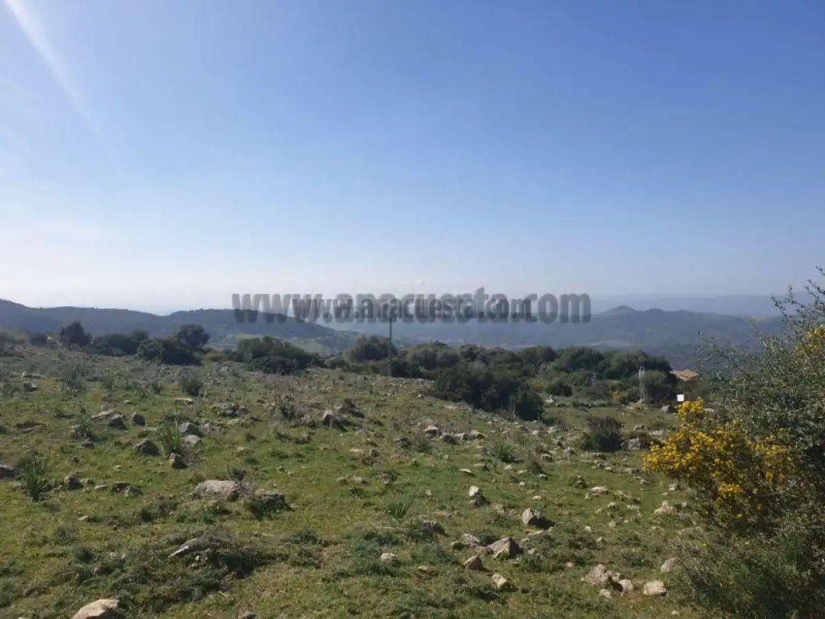 Residencial en venda a Casares, Málaga