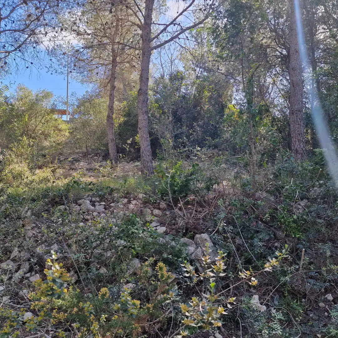 Terreno residencial en venta en Carrer Gessamí 18, imagen 19