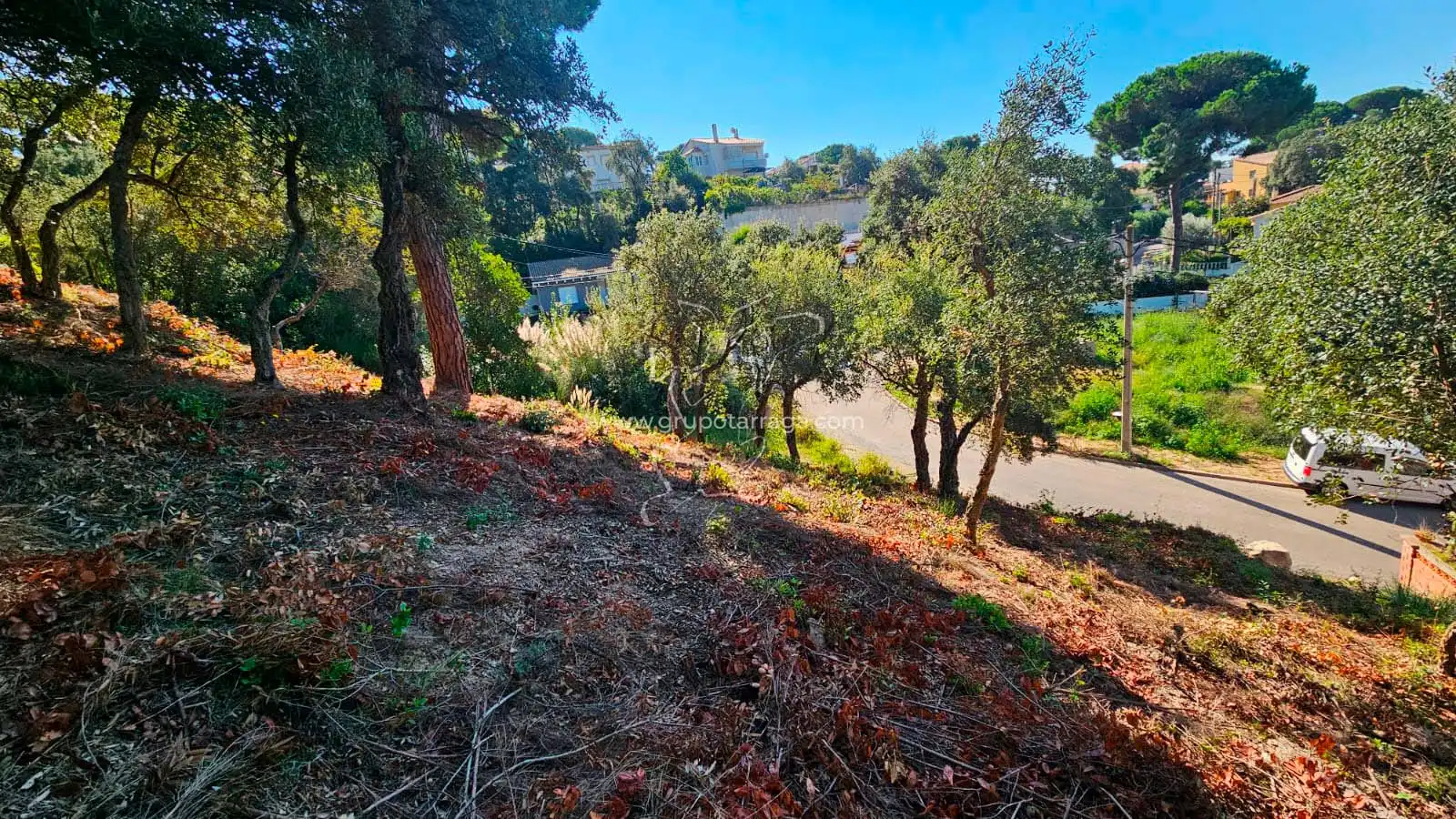 Terreny residencial en venda a Carrer Bedoll 60, imagen 6