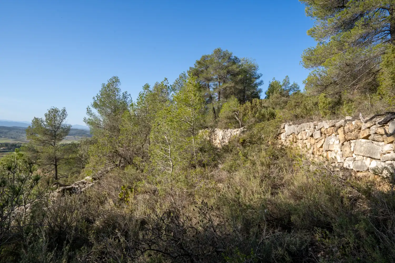 Rural land for sale in Plaça de l'Esglesia 4, imagen 10