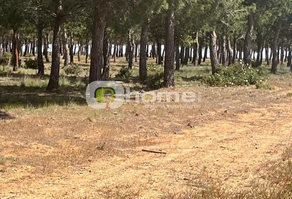 Terreno en venta en Granja de Moreruela