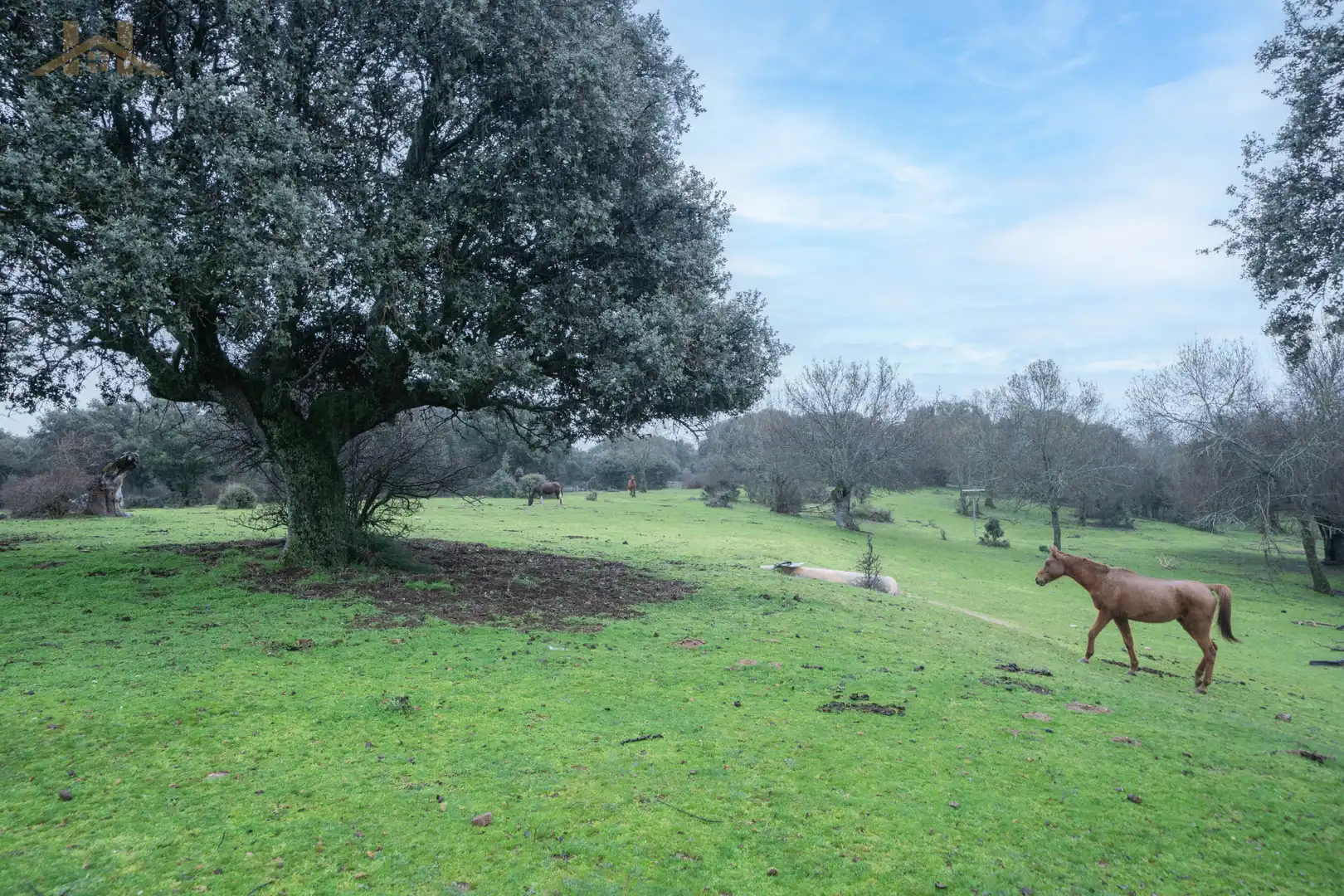 Terreno en venta en San Lorenzo de El Escorial