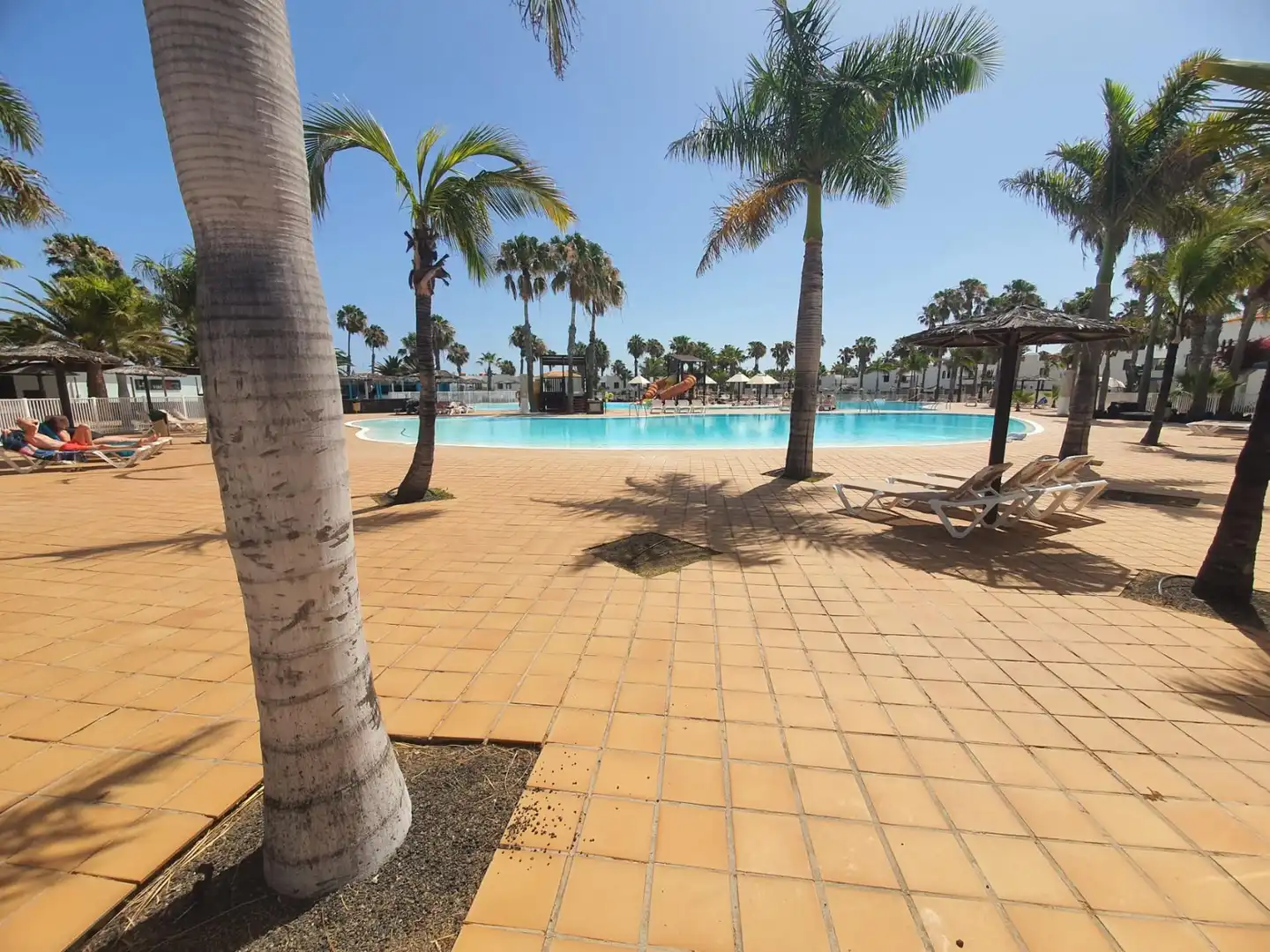 Swimming pool of Apartments for rent in La Oliva  with Air Conditioner, Terrace and Furnished