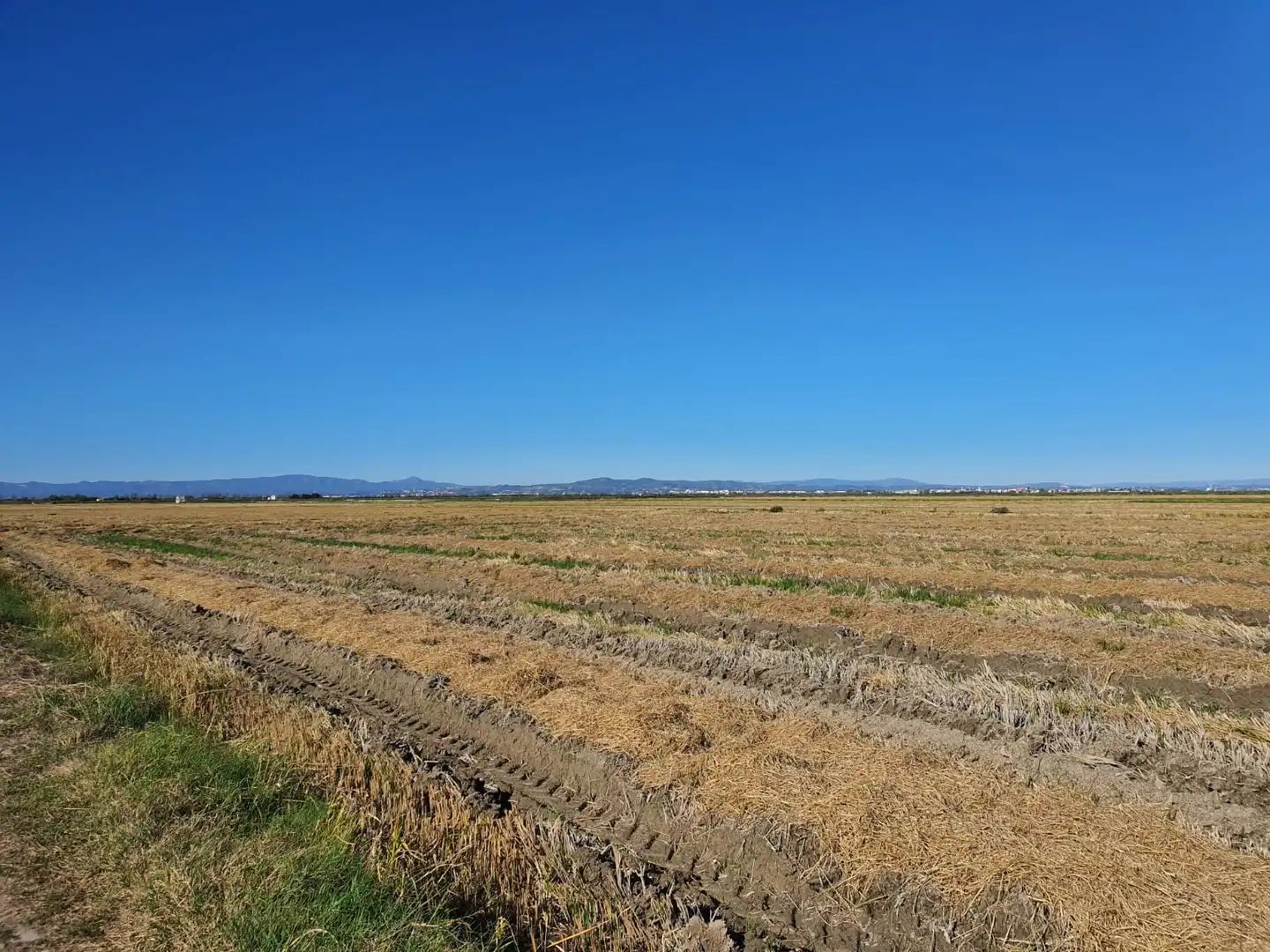 Rural land for sale in Carrer Rei en Jaume