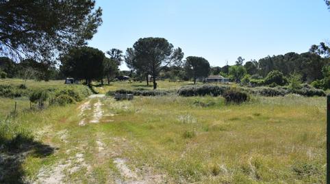 Photo 4 of Country house for sale in Lucena del Puerto, Huelva