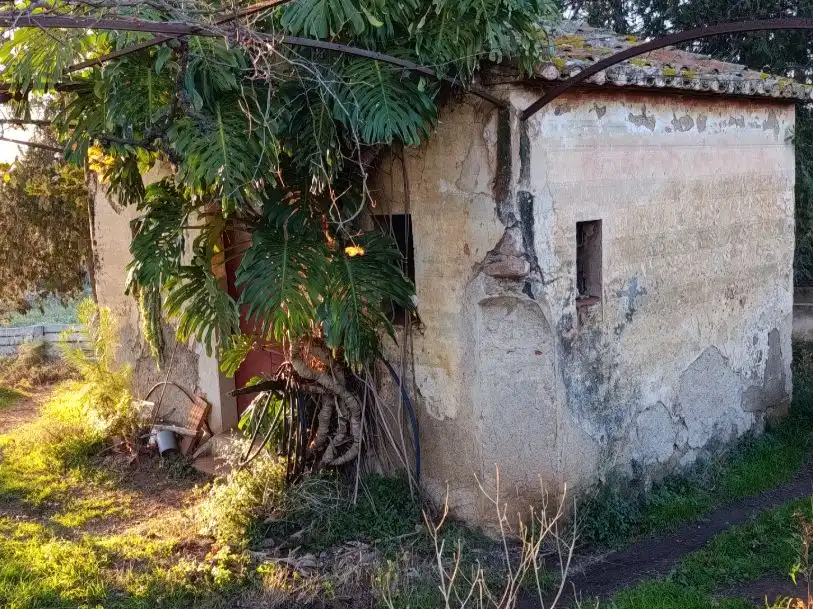 Terreny rústic en venda a Carrer d' Avall 38