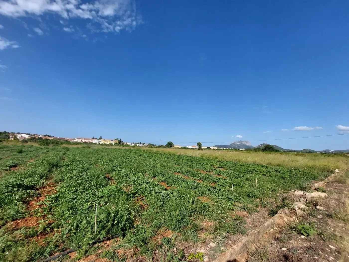 Terreny residencial en venda a Beniarbeig, imagen 7
