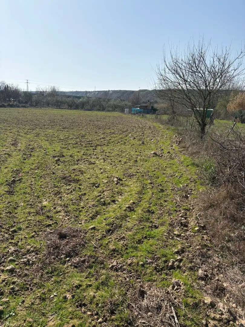 Rural land for sale in Agoncillo, imagen 3