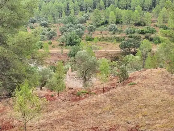 Maison à vendre à Benifallet, imagen 14