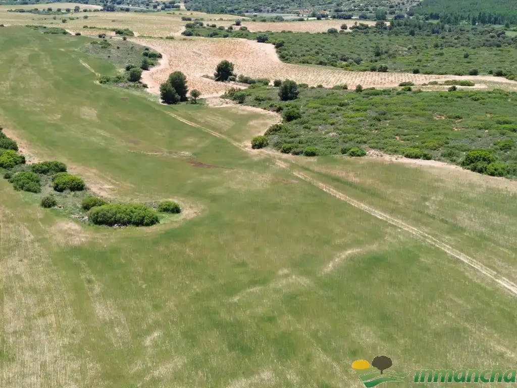 Terreni e lotti in vendita a Almansa, imagen 10