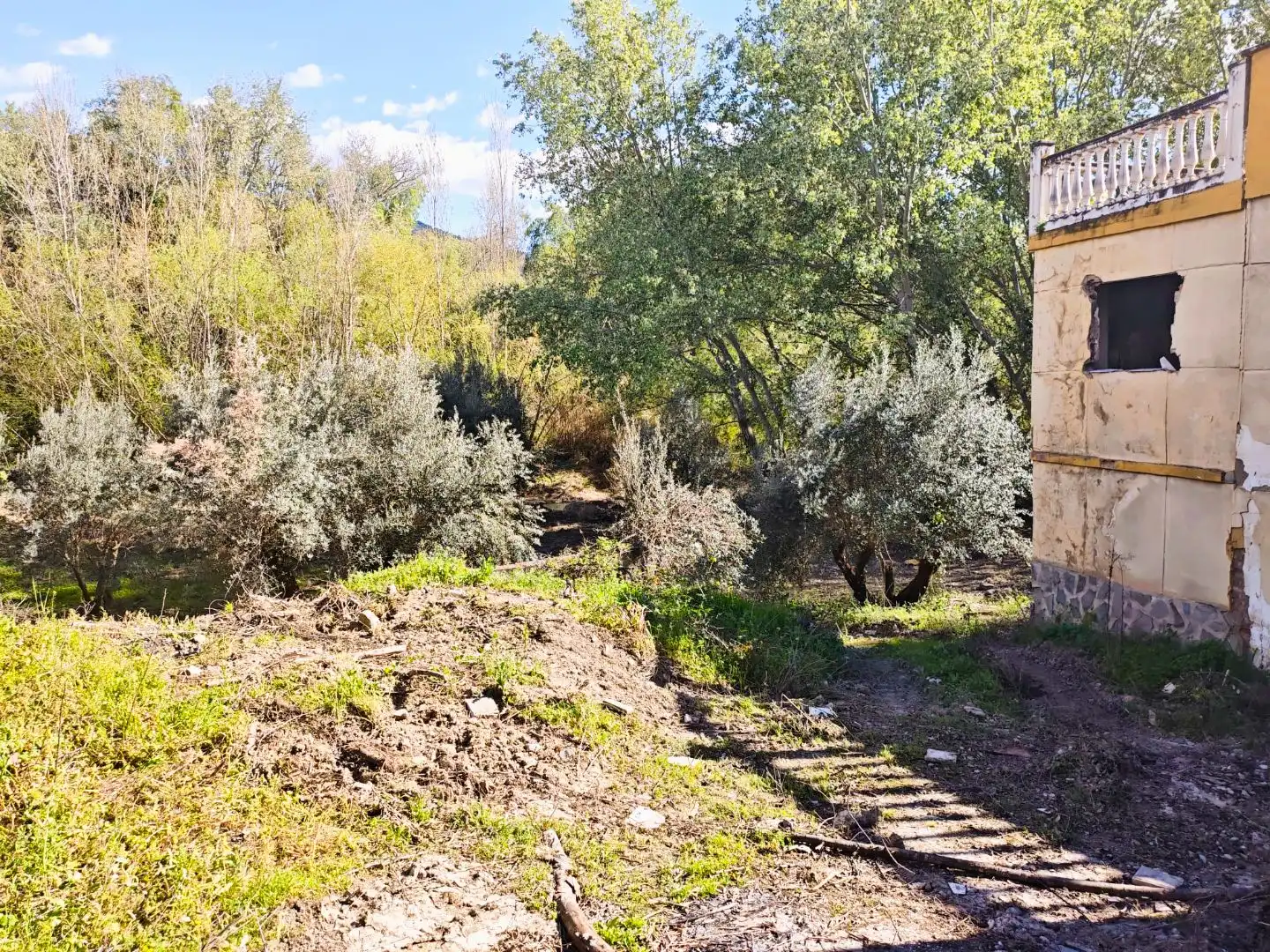 Grundstücke zum Verkauf in Jaén