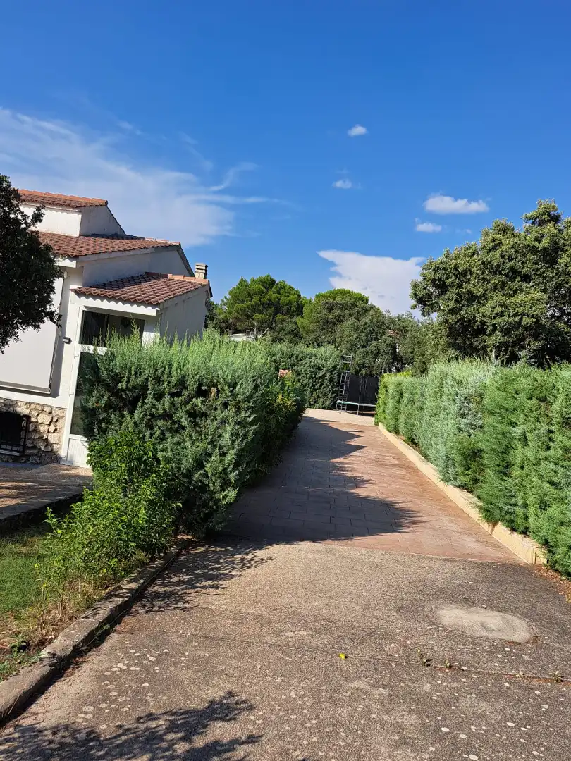 Jardí de Casa o xalet en venda en Albalate de Zorita amb Calefacció, Jardí privat i Terrassa