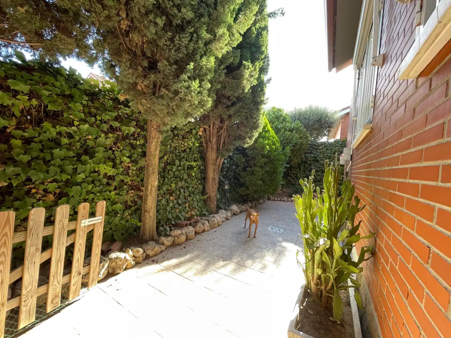 Villa avec terrasse à vendre à Centro, imagen 61
