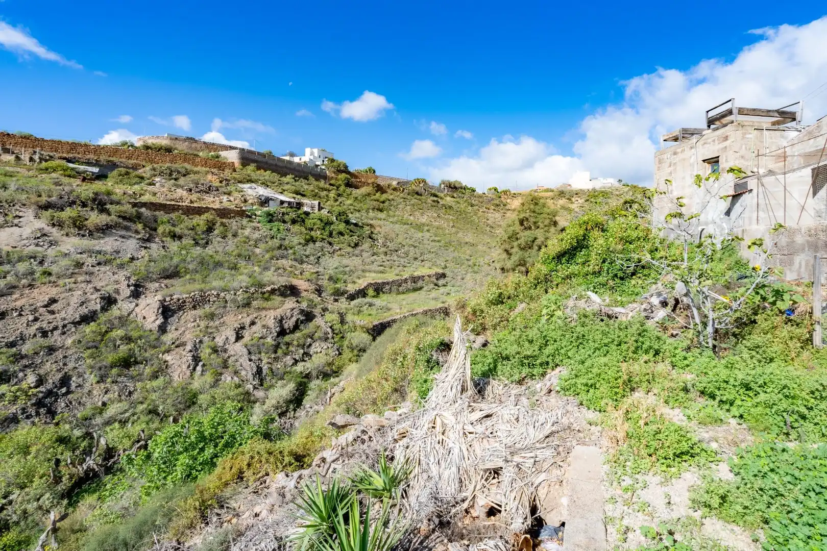 Vista exterior de Finca rústica en venta en Granadilla de Abona con Calefacción, Terraza y Amueblado