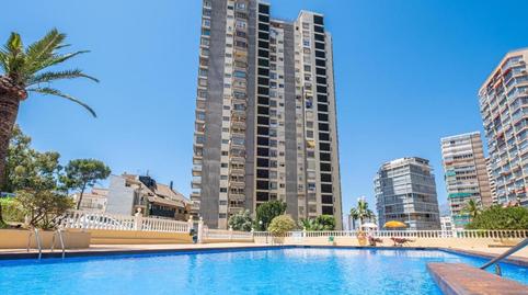 Photo 5 of Apartment to rent in Rincón Alto, Benidorm