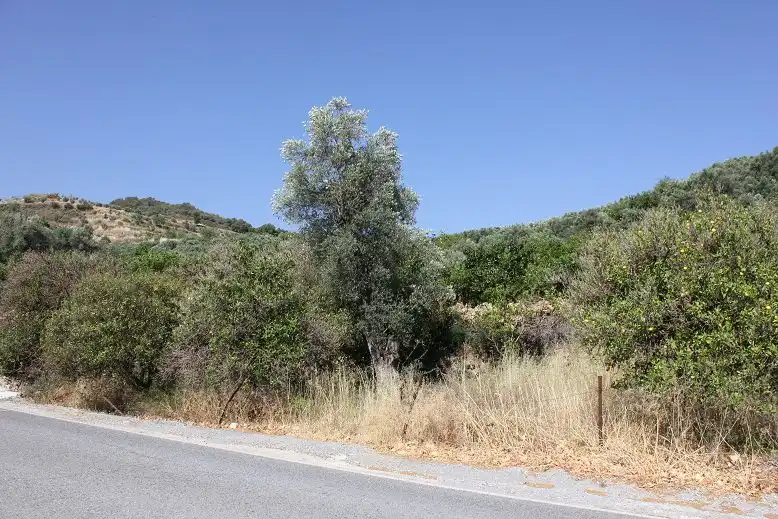 Terreni e lotti in vendita a Andalucía