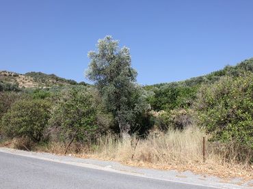 Terreni e lotti in vendita a Andalucía