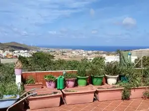 Exterior view of Houses for rent in Gáldar  with Private garden, Terrace and Furnished
