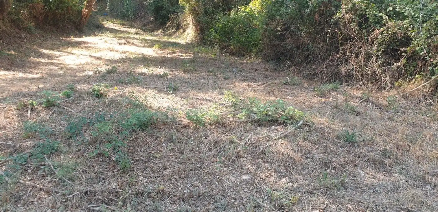 Wohnbaugrundstück zum Verkauf in Avinguda Can Valls, imagen 5