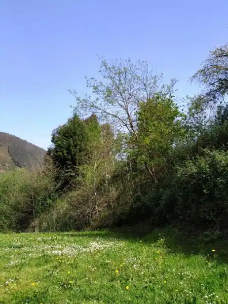 Residential for sale in Alonsotegi