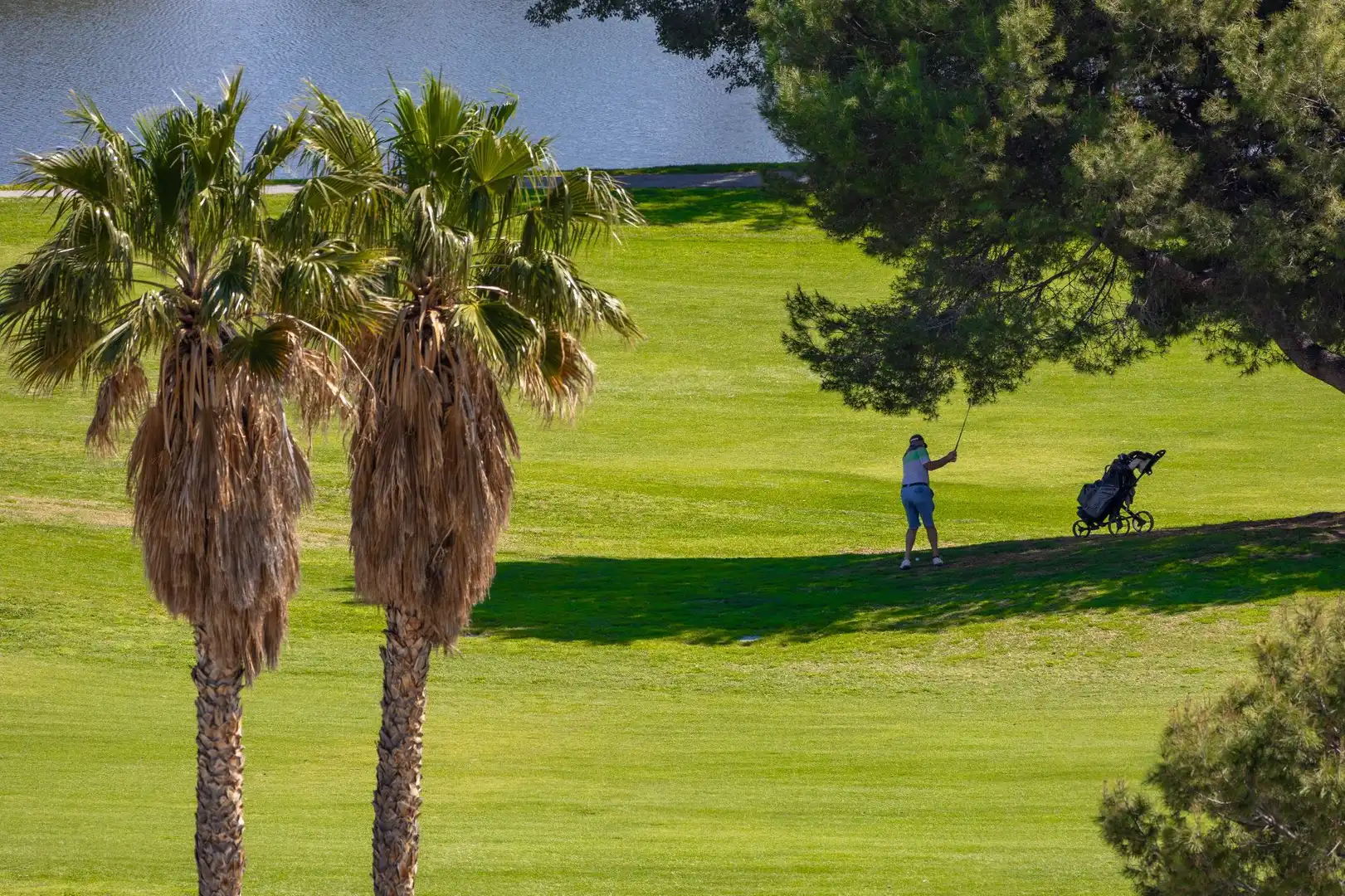 Mini appartamento in vendita a Bonalba - Cotoveta, imagen 33