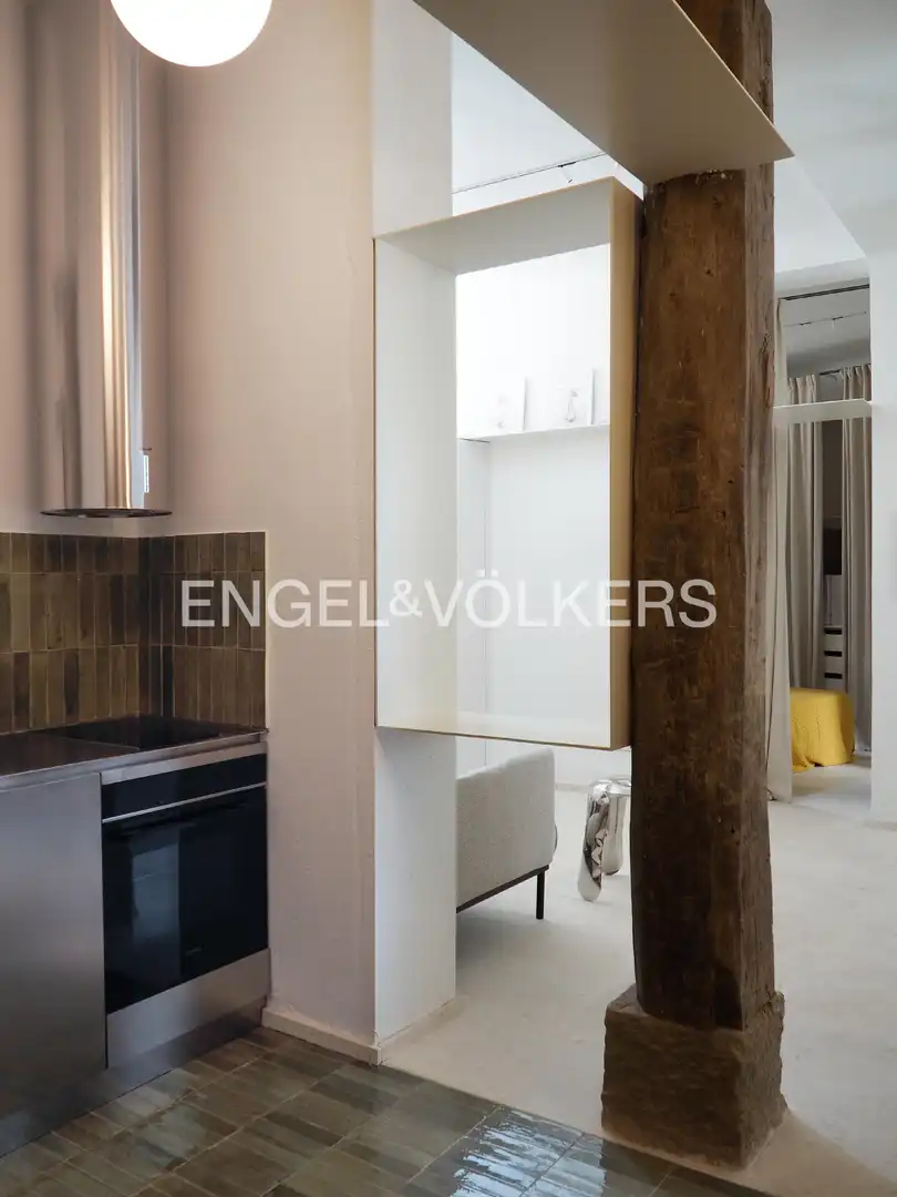 Kitchen of Apartments for rent in Madrid  with Heating, Furnished and Pets allowed
