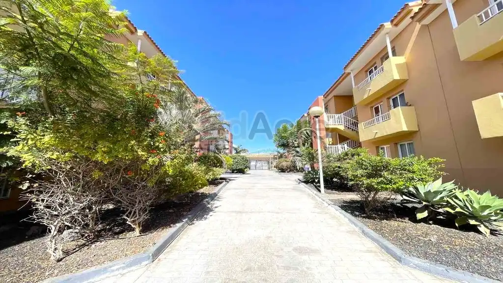 Vista exterior de Apartamento en venta en La Oliva