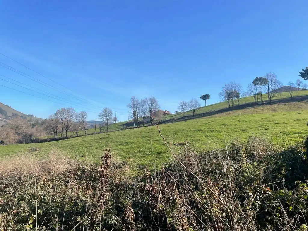 Land for sale in Balmaseda