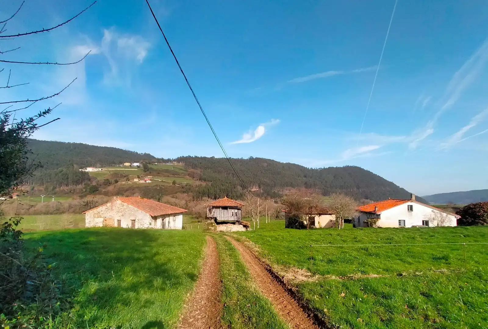 Vista exterior de Finca rústica en venta en Cudillero con Jardín privado
