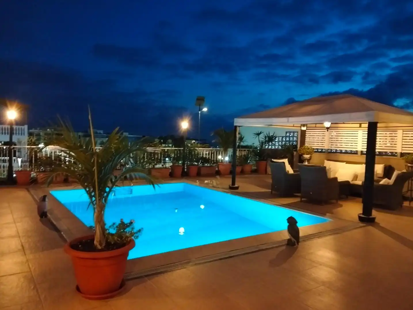 Piscina de Casa adosada en venda en Mogán amb Jardí privat, Terrassa i Piscina
