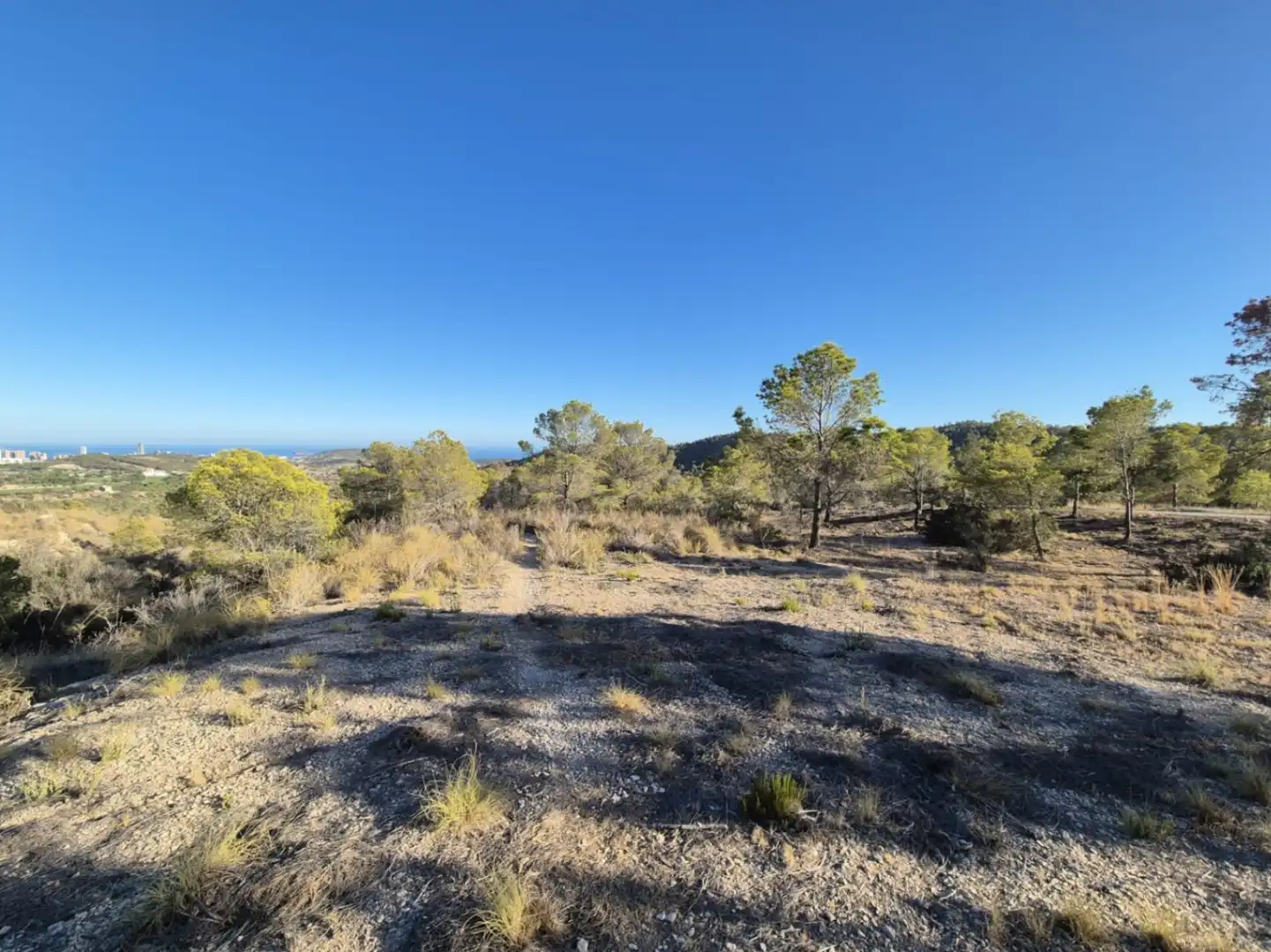 Terreni e lotti in vendita a El Secanet - Hacienda del Sol, imagen 4