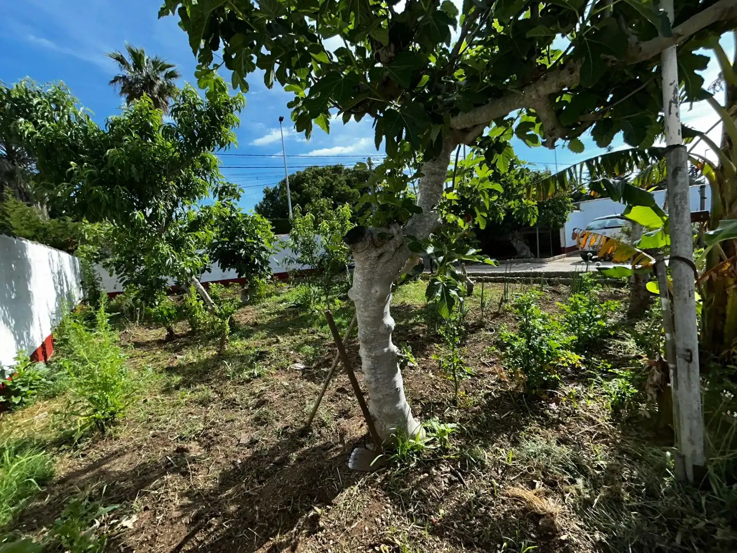 Casa o xalet en venda en Chiclana de la Frontera amb Jardí privat, Terrassa i Traster