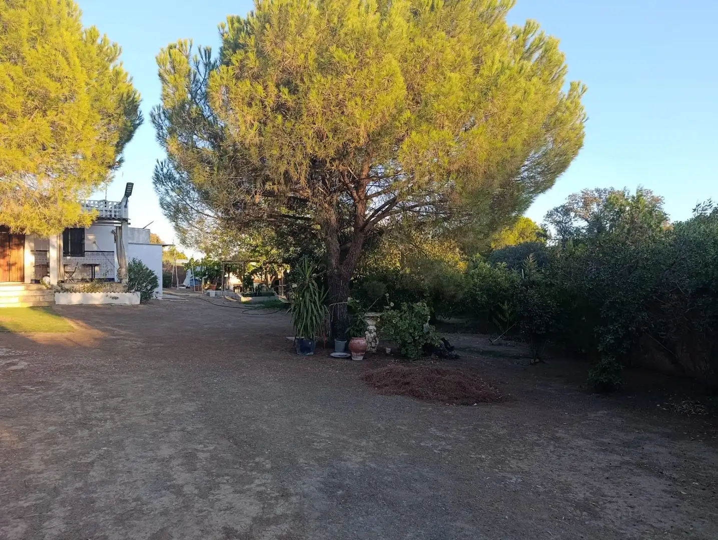 Casa amb piscina en venda a Castilblanco de los Arroyos, imagen 51