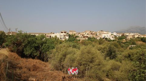 Solar urbano en Campanet, Mallorca, Islas Baleares, immagine 3