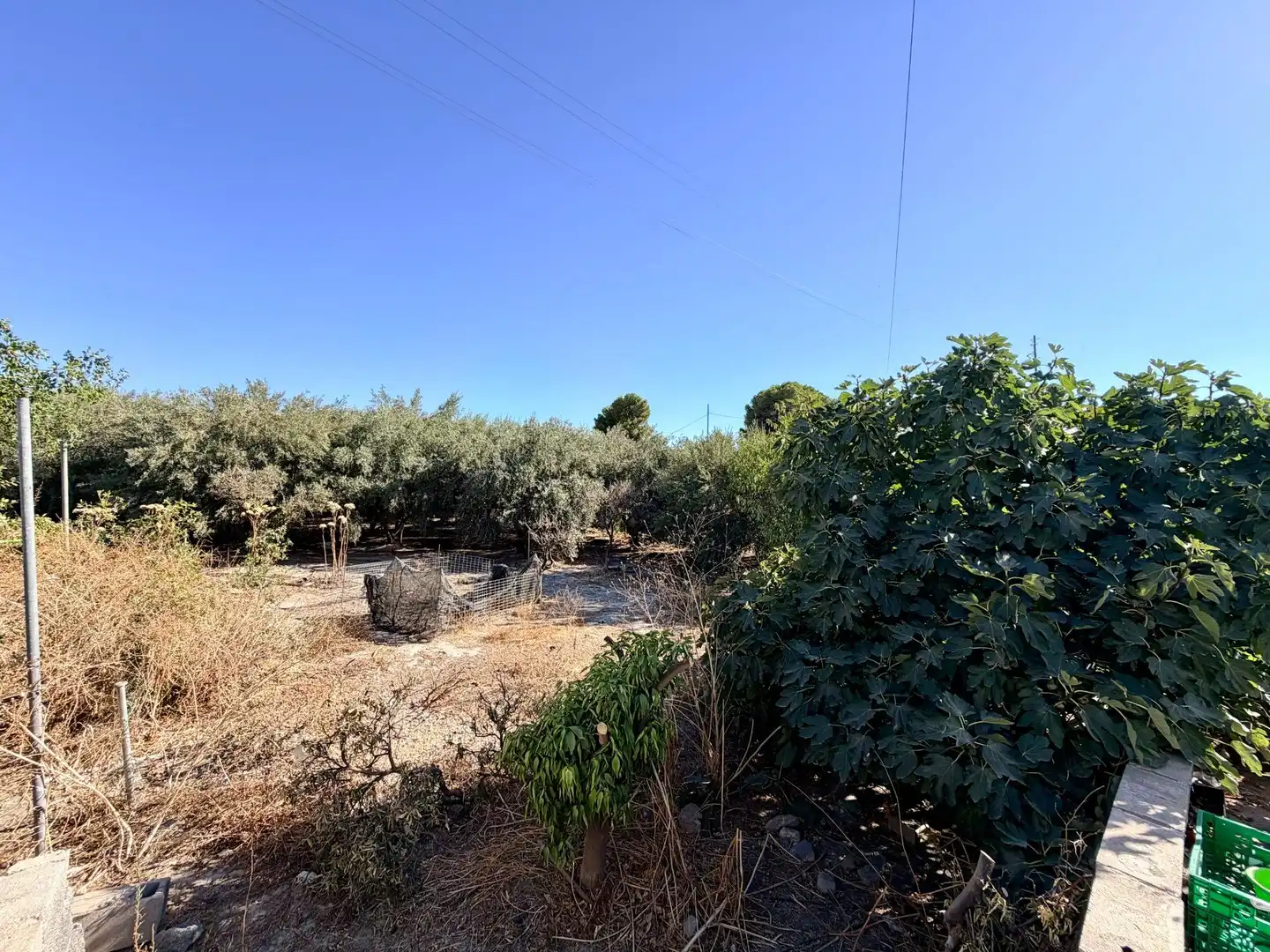Country house with garden for sale in Pechina, imagen 32