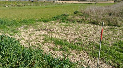 Photo 5 of Land for sale in Algaida, Illes Balears