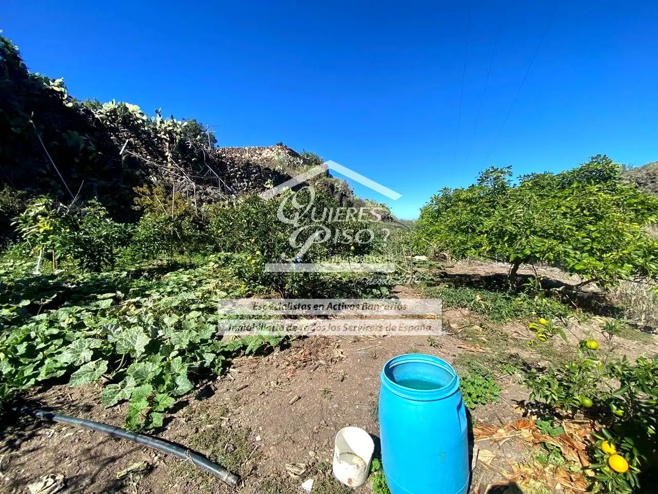 Maison rustique avec jardin à vendre à Casas de Aguilar, imagen 16