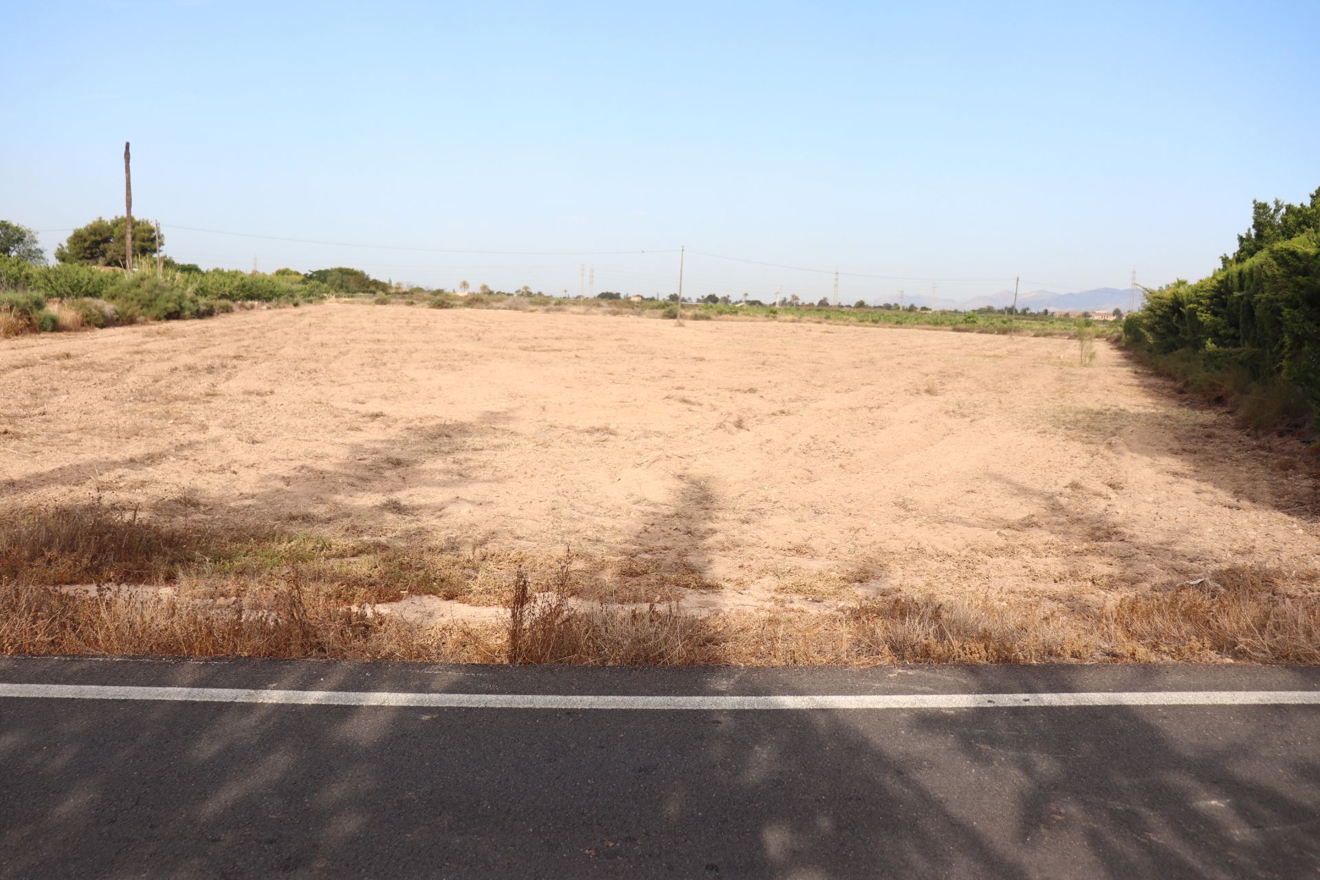 Land for sale in Elche / Elx