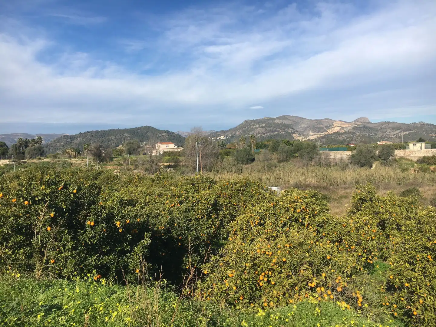 Land for sale in Beniflá