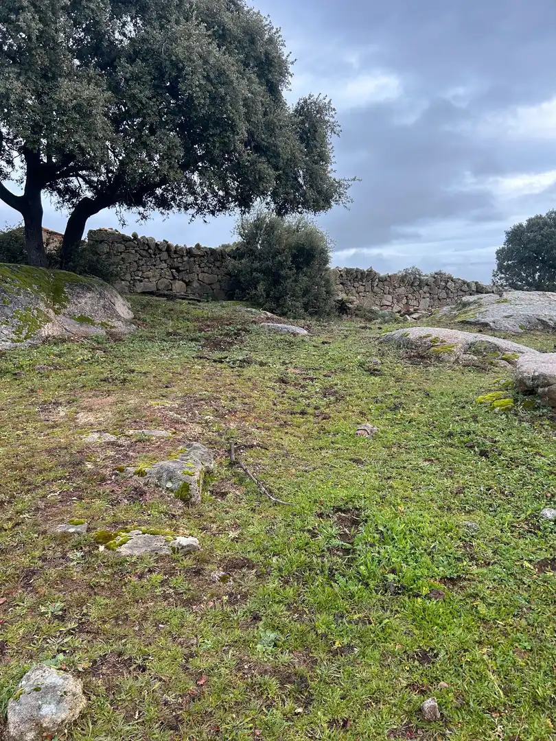 Terreni e lotti in vendita a Almorox
