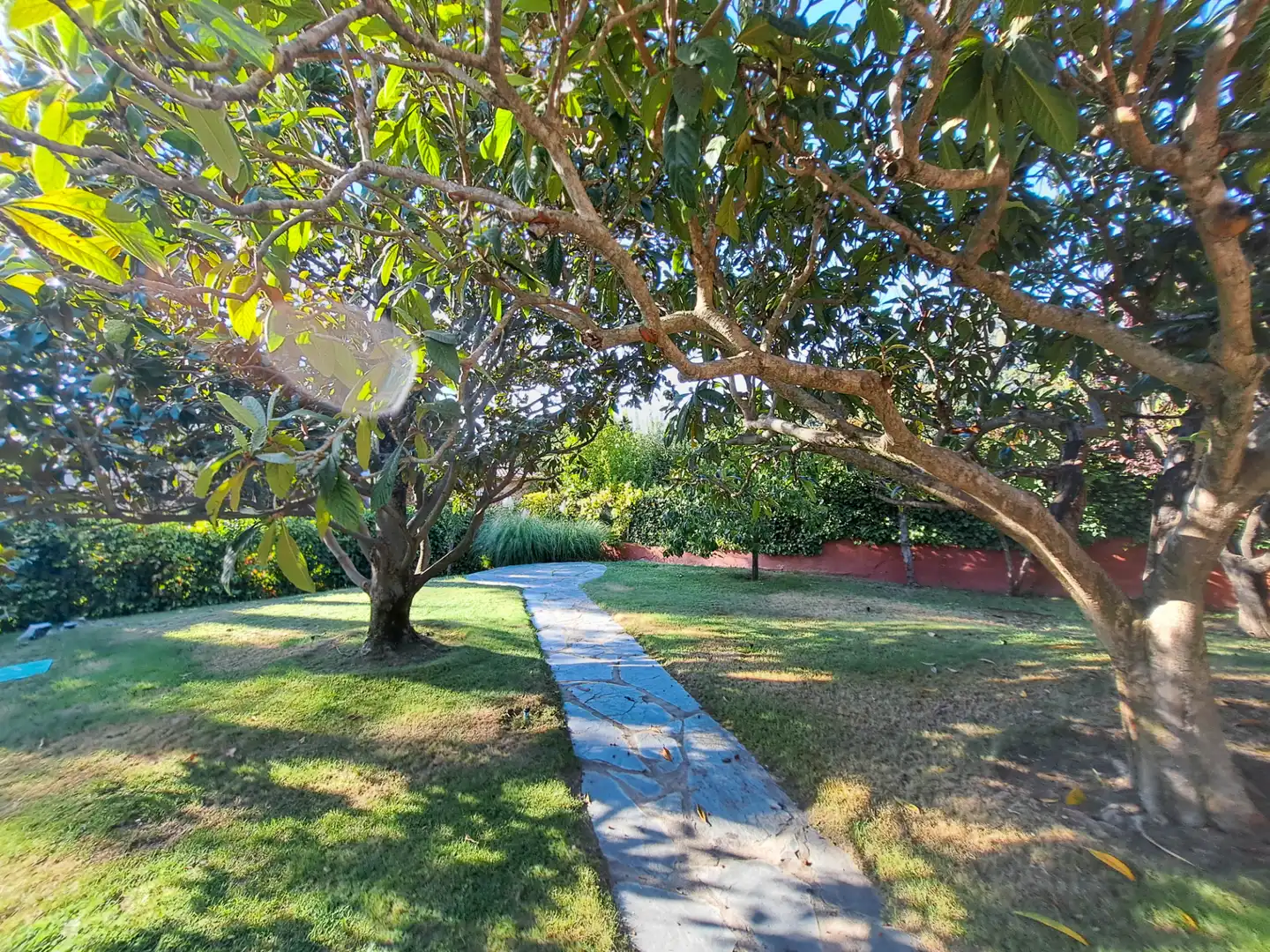 Villa avec jardin à vendre à Colonia, imagen 46
