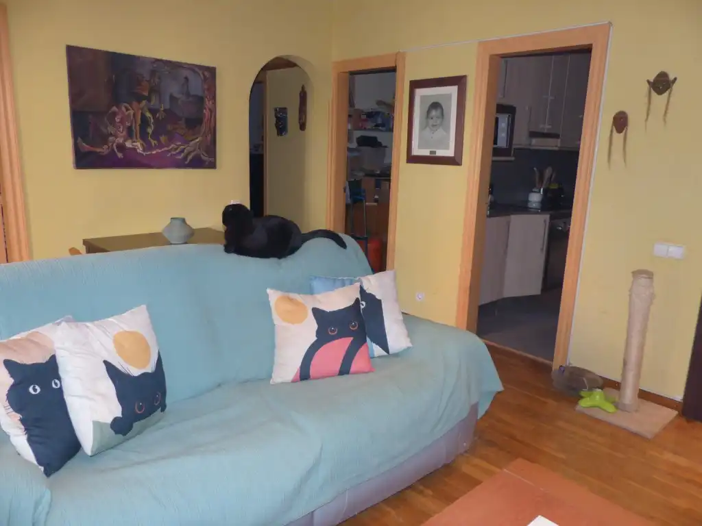 Sala de estar de Piso en venta en Barcelona con Balcón