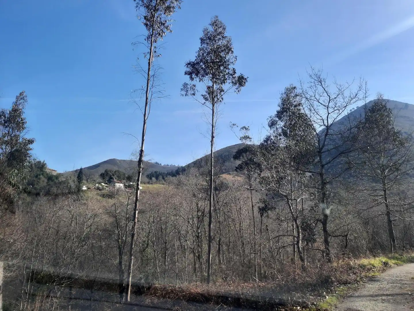 Grundstücke und Bauplätze zum Verkauf in Cangas de Onís, imagen 3