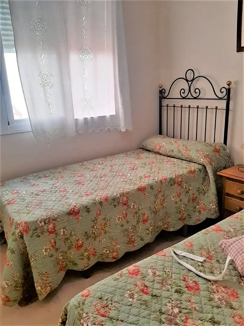 Apartments for rent in Centro