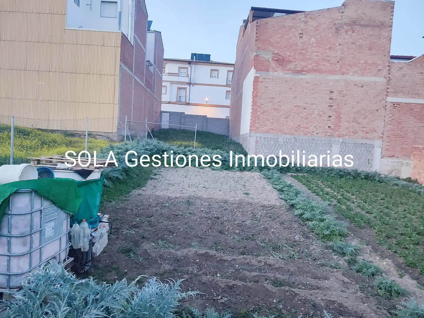 Terreni e lotti in vendita a Torreperogil, imagen 3