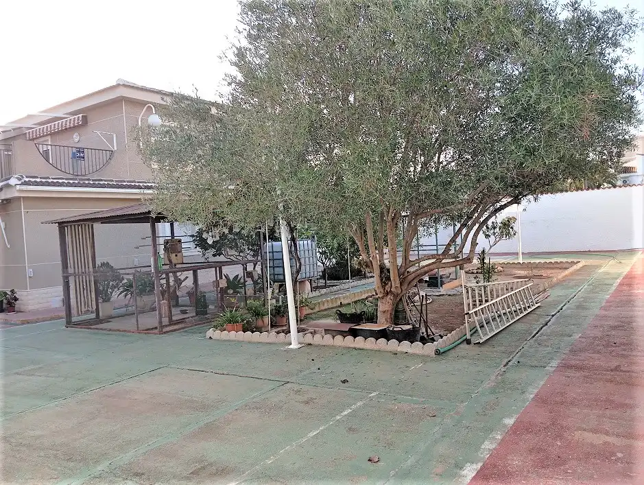 Xalet amb terrassa en venda a San Fulgencio, imagen 12