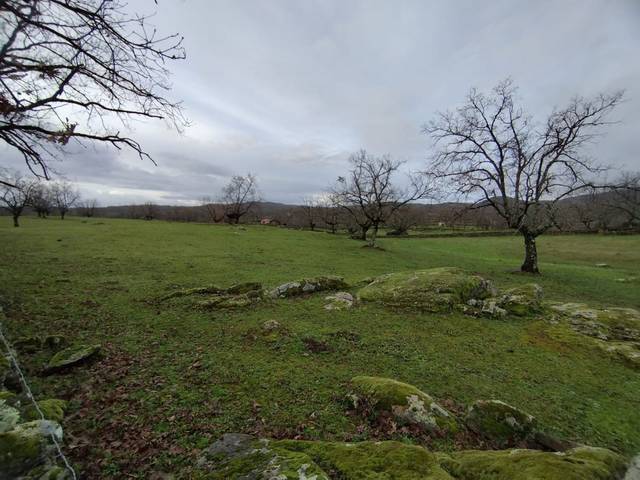 Terreno en Venta en Gargüera