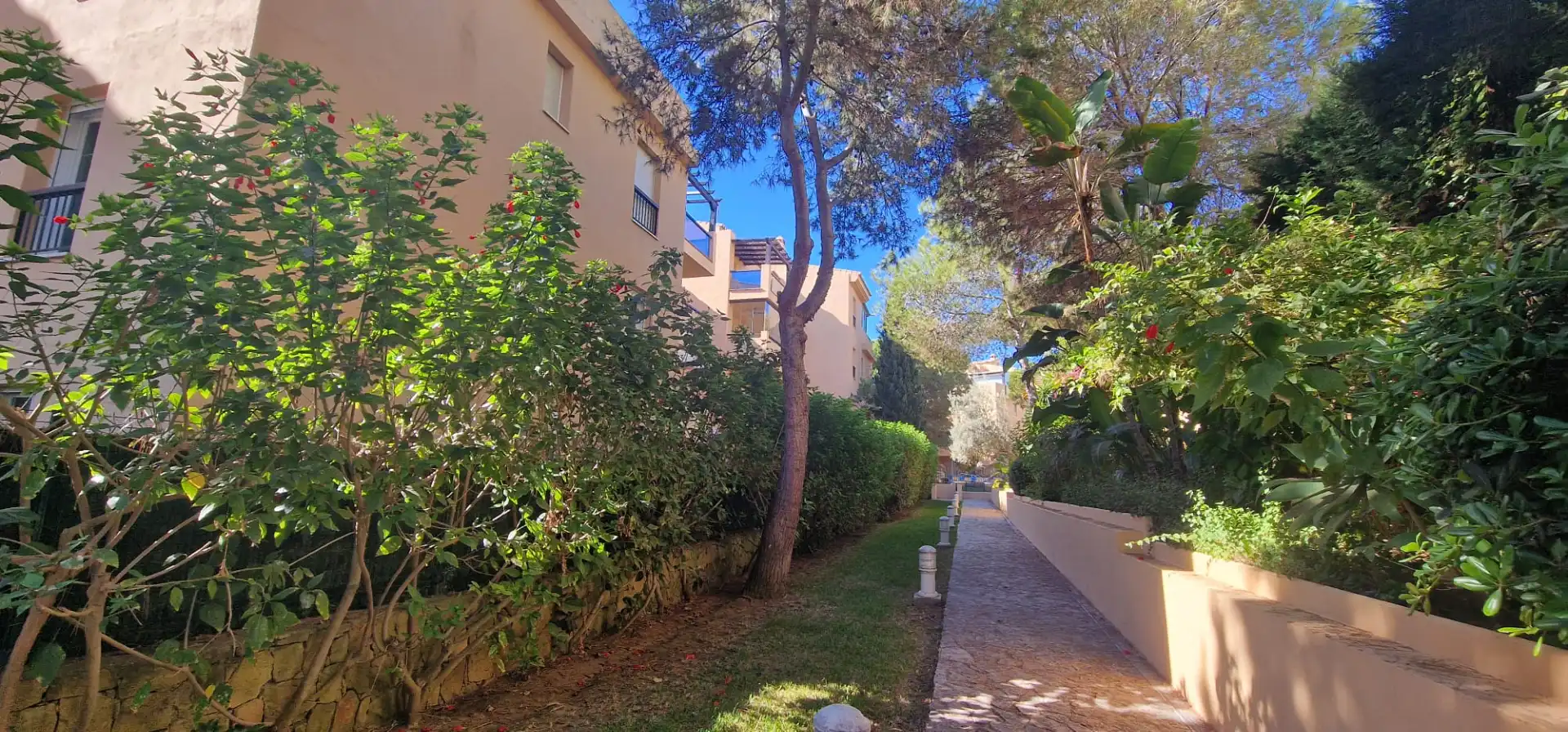 Vista exterior de Pis en venda en Marbella amb Terrassa i Piscina comunitària