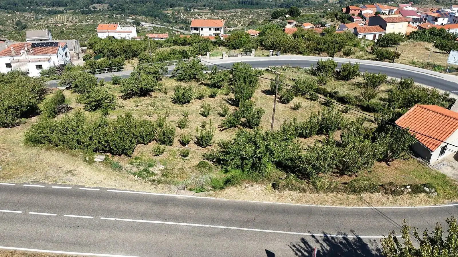 Terreni e lotti in vendita a Paseo Naranjos 116, imagen 7