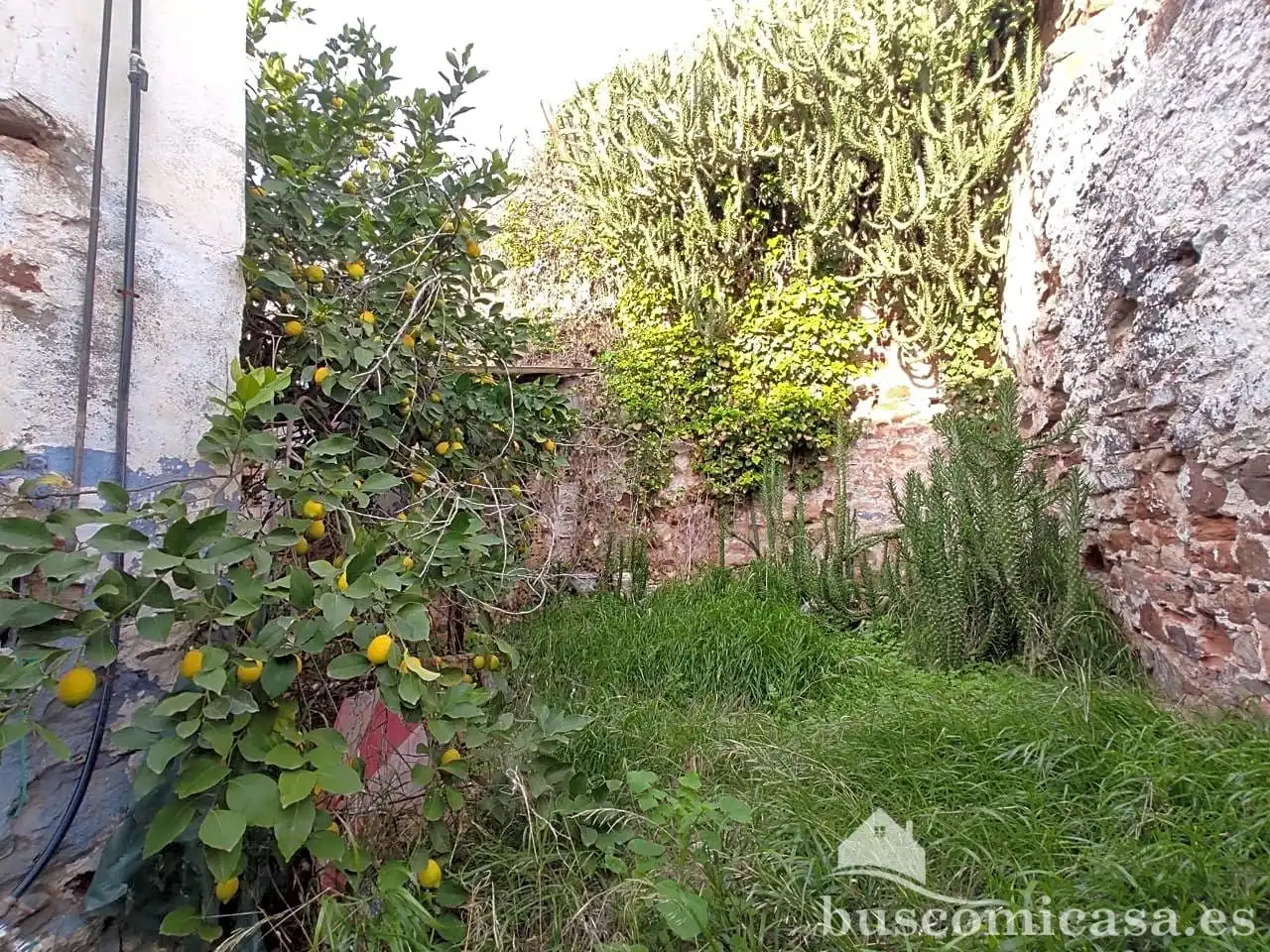 Jardín de Casa adosada en venta en Vilches con Balcón
